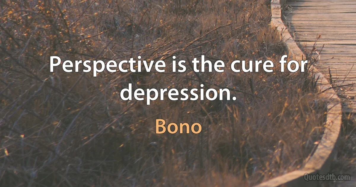 Perspective is the cure for depression. (Bono)