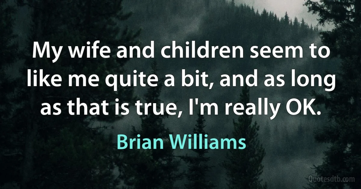 My wife and children seem to like me quite a bit, and as long as that is true, I'm really OK. (Brian Williams)