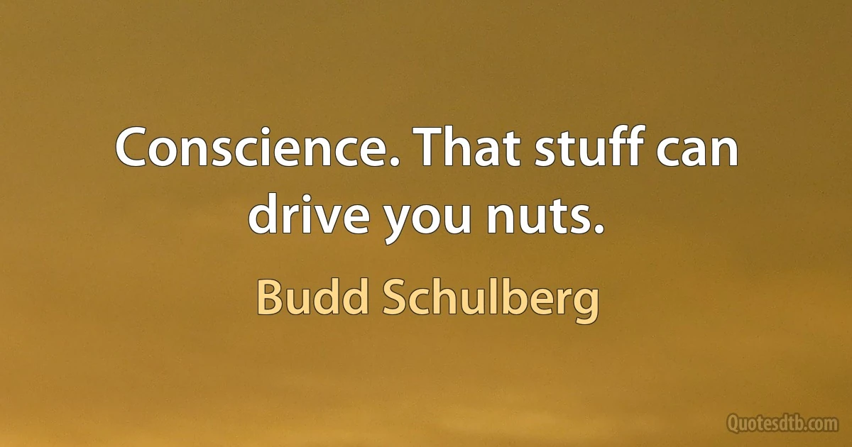 Conscience. That stuff can drive you nuts. (Budd Schulberg)