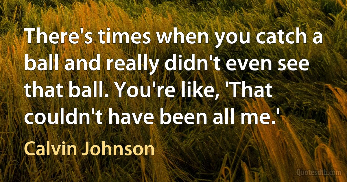 There's times when you catch a ball and really didn't even see that ball. You're like, 'That couldn't have been all me.' (Calvin Johnson)