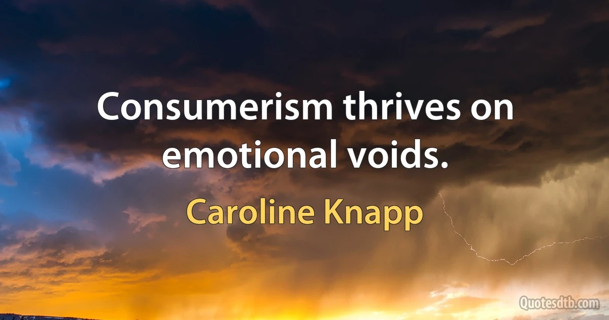 Consumerism thrives on emotional voids. (Caroline Knapp)