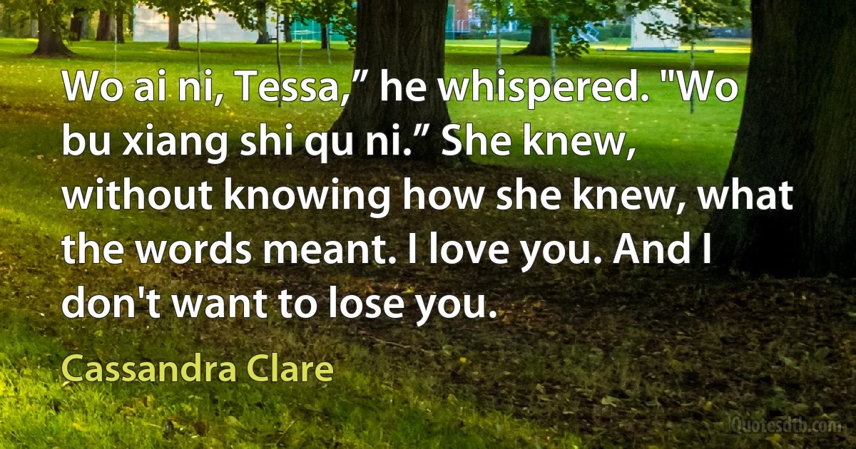 Wo ai ni, Tessa,” he whispered. "Wo bu xiang shi qu ni.” She knew, without knowing how she knew, what the words meant. I love you. And I don't want to lose you. (Cassandra Clare)