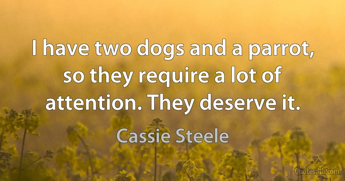 I have two dogs and a parrot, so they require a lot of attention. They deserve it. (Cassie Steele)