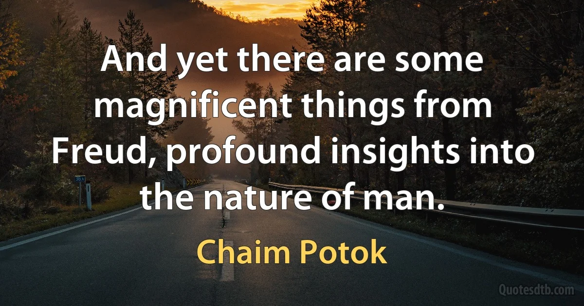 And yet there are some magnificent things from Freud, profound insights into the nature of man. (Chaim Potok)