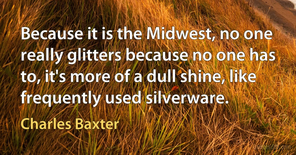 Because it is the Midwest, no one really glitters because no one has to, it's more of a dull shine, like frequently used silverware. (Charles Baxter)