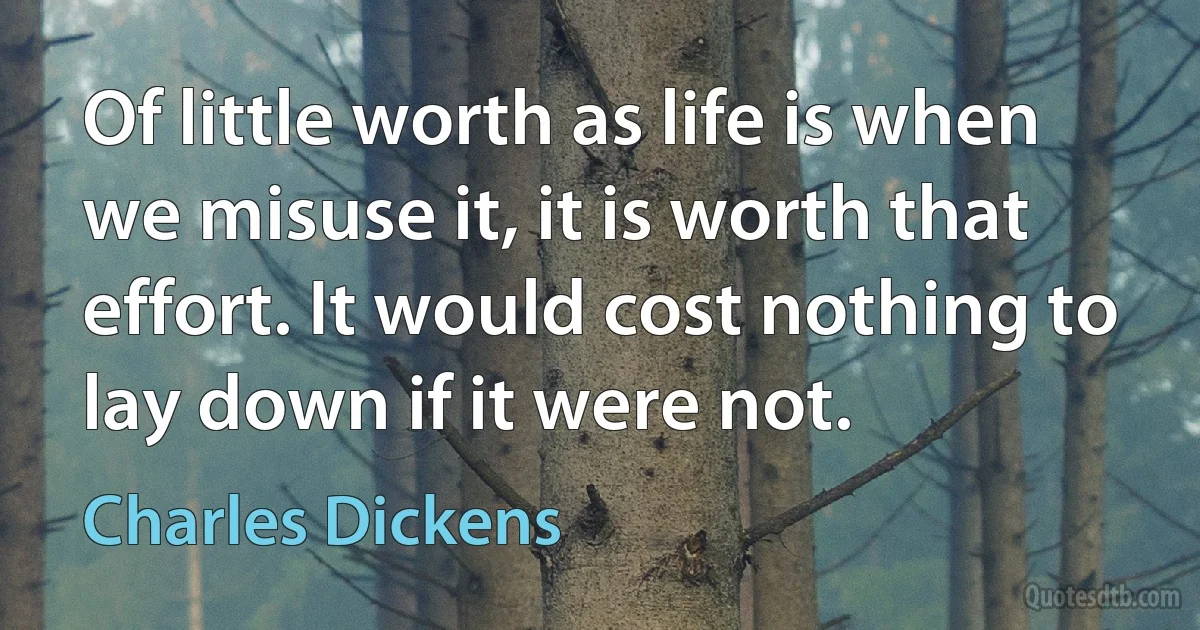 Of little worth as life is when we misuse it, it is worth that effort. It would cost nothing to lay down if it were not. (Charles Dickens)