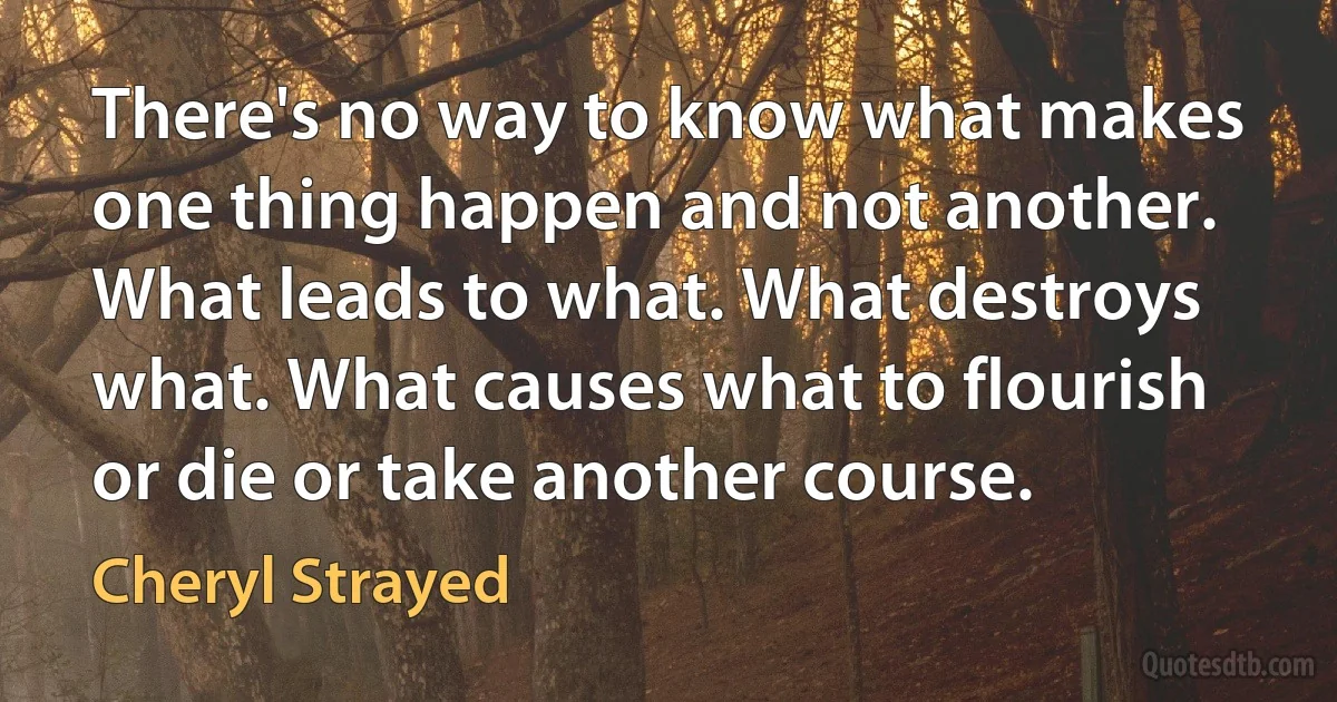 There's no way to know what makes one thing happen and not another. What leads to what. What destroys what. What causes what to flourish or die or take another course. (Cheryl Strayed)