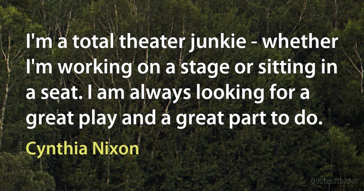 I'm a total theater junkie - whether I'm working on a stage or sitting in a seat. I am always looking for a great play and a great part to do. (Cynthia Nixon)