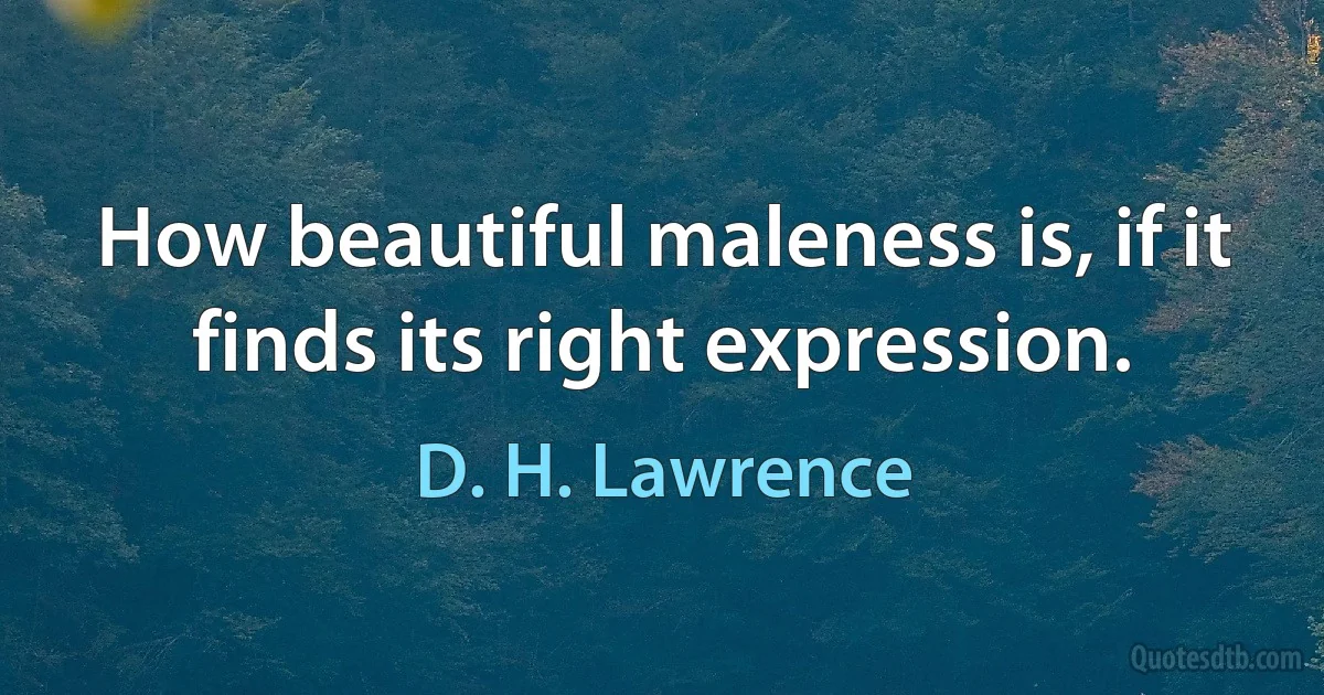 How beautiful maleness is, if it finds its right expression. (D. H. Lawrence)