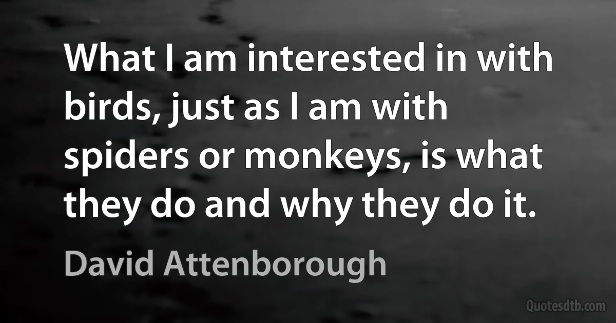 What I am interested in with birds, just as I am with spiders or monkeys, is what they do and why they do it. (David Attenborough)