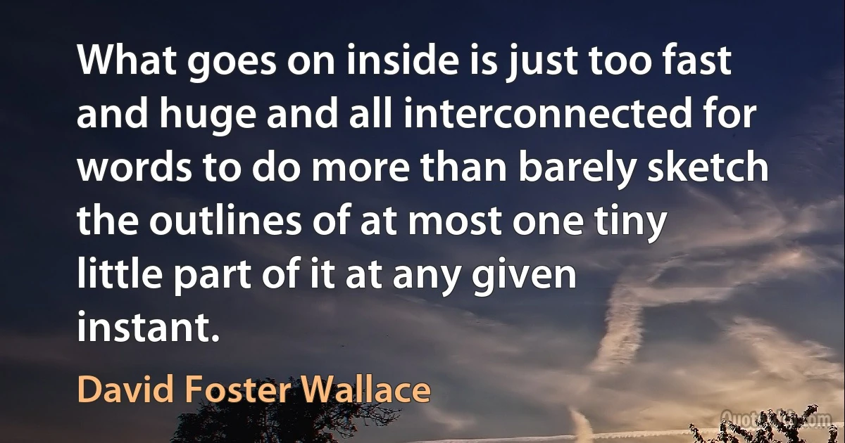 What goes on inside is just too fast and huge and all interconnected for words to do more than barely sketch the outlines of at most one tiny little part of it at any given instant. (David Foster Wallace)