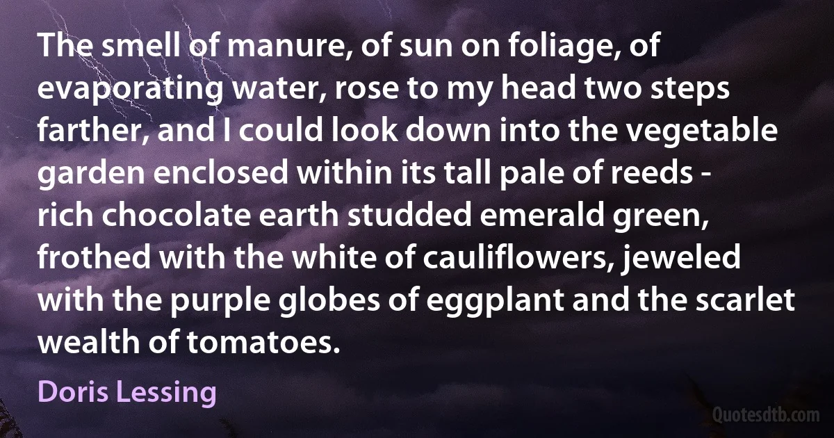 The smell of manure, of sun on foliage, of evaporating water, rose to my head two steps farther, and I could look down into the vegetable garden enclosed within its tall pale of reeds - rich chocolate earth studded emerald green, frothed with the white of cauliflowers, jeweled with the purple globes of eggplant and the scarlet wealth of tomatoes. (Doris Lessing)