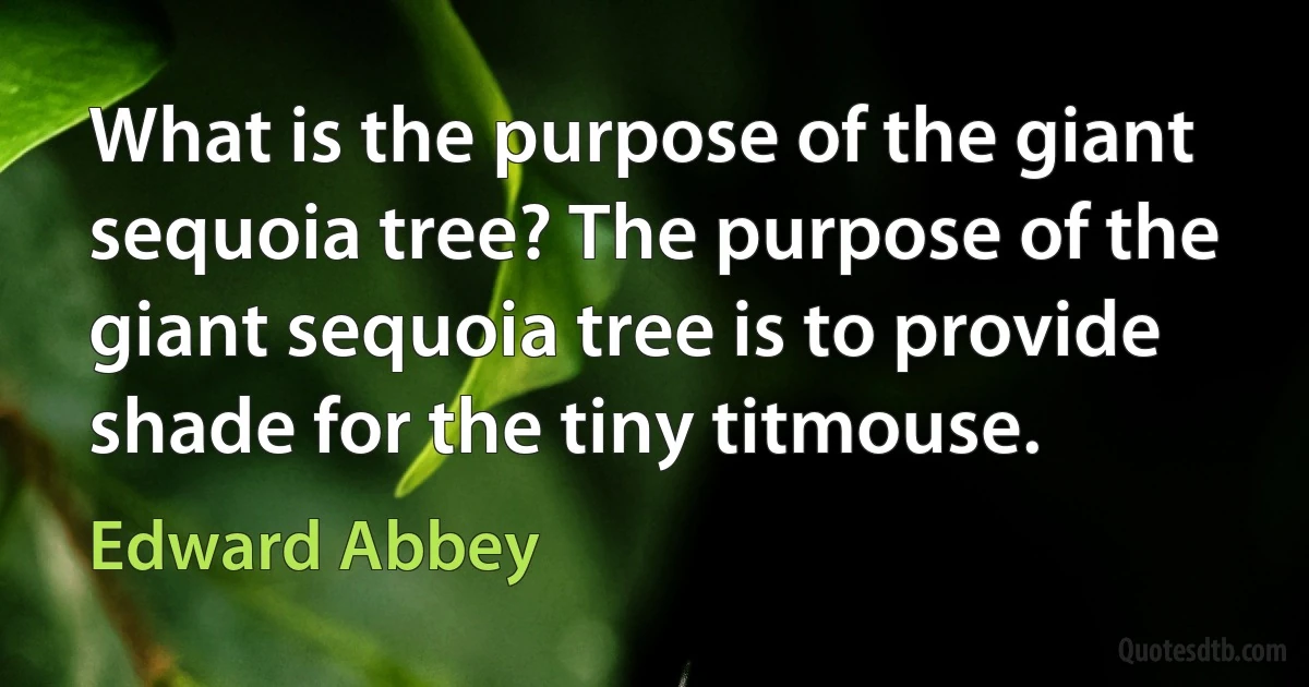 What is the purpose of the giant sequoia tree? The purpose of the giant sequoia tree is to provide shade for the tiny titmouse. (Edward Abbey)