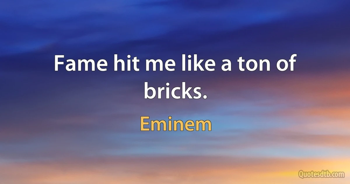 Fame hit me like a ton of bricks. (Eminem)