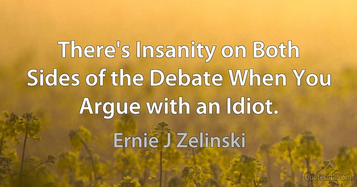 There's Insanity on Both Sides of the Debate When You Argue with an Idiot. (Ernie J Zelinski)