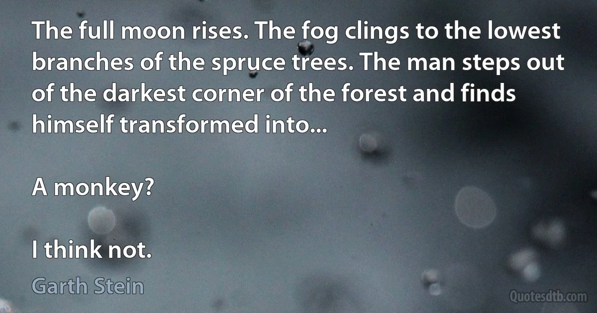 The full moon rises. The fog clings to the lowest branches of the spruce trees. The man steps out of the darkest corner of the forest and finds himself transformed into...

A monkey?

I think not. (Garth Stein)