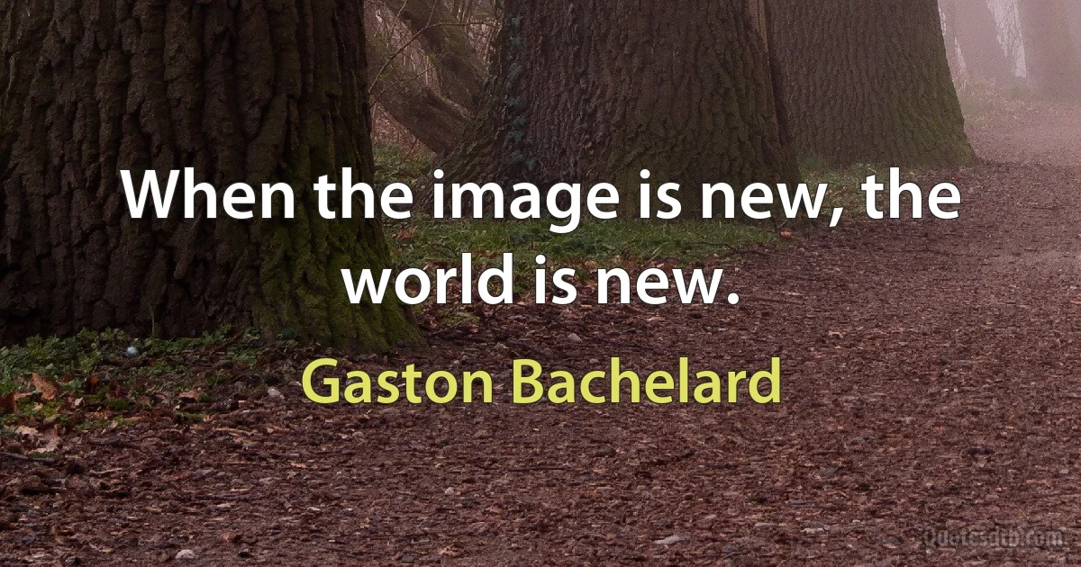 When the image is new, the world is new. (Gaston Bachelard)