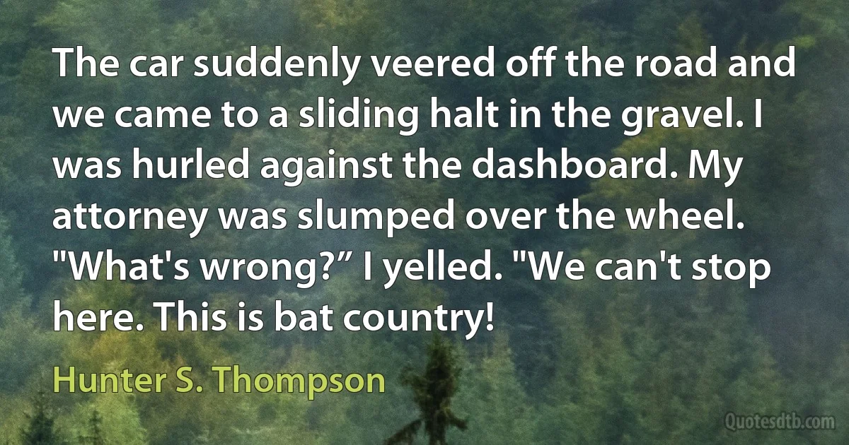 The car suddenly veered off the road and we came to a sliding halt in the gravel. I was hurled against the dashboard. My attorney was slumped over the wheel. "What's wrong?” I yelled. "We can't stop here. This is bat country! (Hunter S. Thompson)