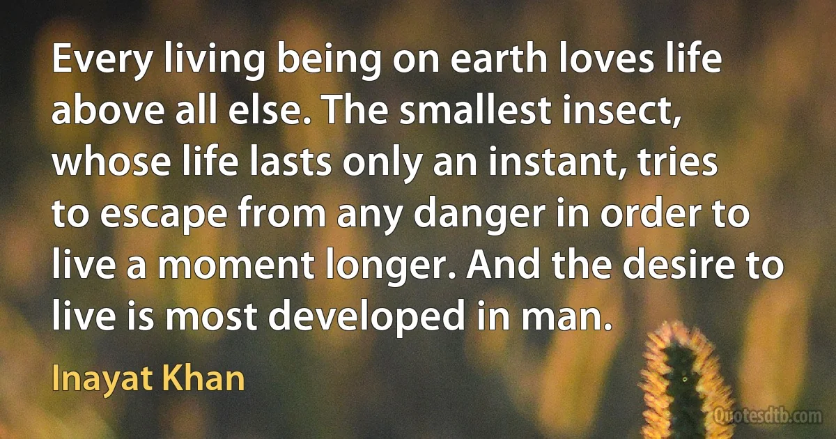 Every living being on earth loves life above all else. The smallest insect, whose life lasts only an instant, tries to escape from any danger in order to live a moment longer. And the desire to live is most developed in man. (Inayat Khan)