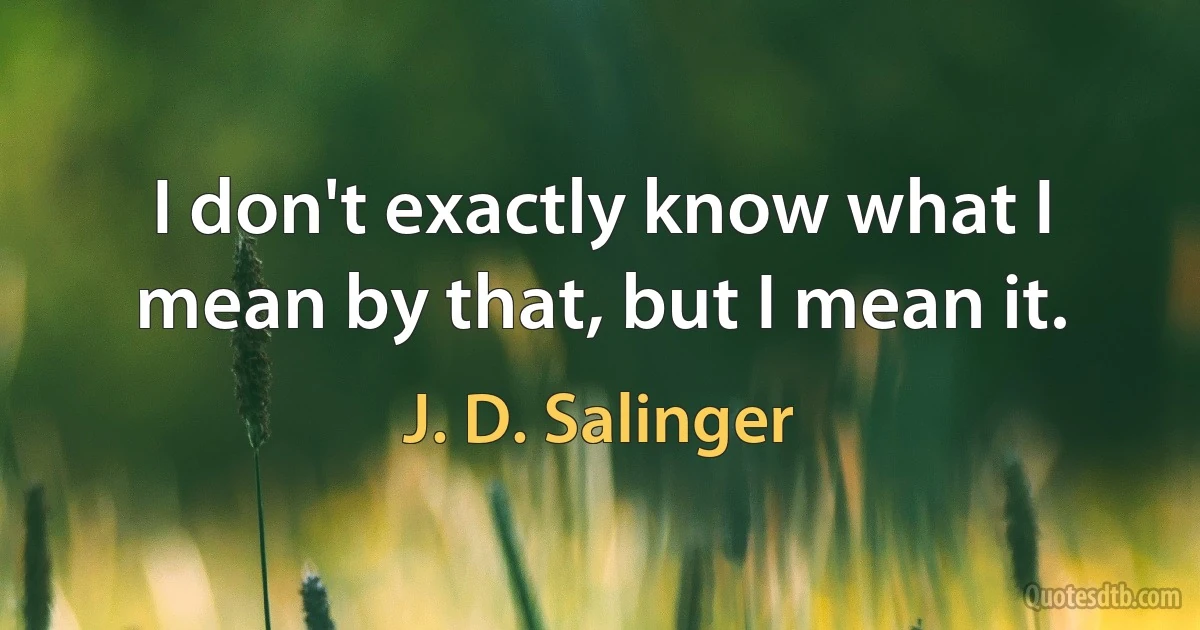 I don't exactly know what I mean by that, but I mean it. (J. D. Salinger)