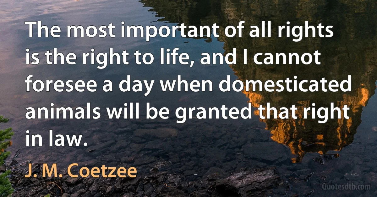 The most important of all rights is the right to life, and I cannot foresee a day when domesticated animals will be granted that right in law. (J. M. Coetzee)