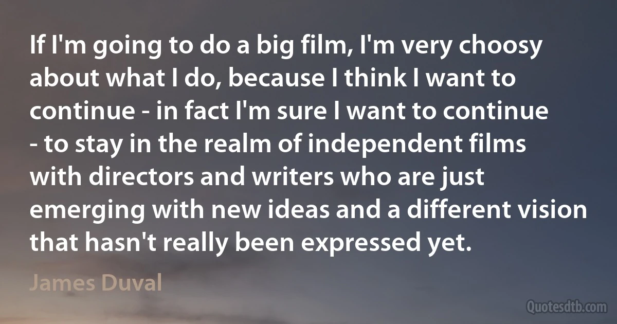 If I'm going to do a big film, I'm very choosy about what I do, because I think I want to continue - in fact I'm sure I want to continue - to stay in the realm of independent films with directors and writers who are just emerging with new ideas and a different vision that hasn't really been expressed yet. (James Duval)