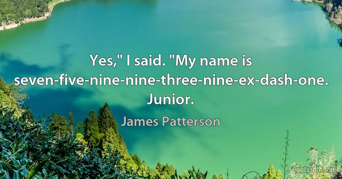 Yes," I said. "My name is seven-five-nine-nine-three-nine-ex-dash-one. Junior. (James Patterson)