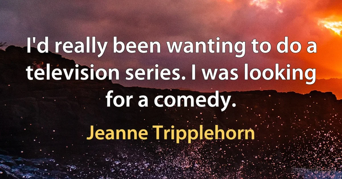 I'd really been wanting to do a television series. I was looking for a comedy. (Jeanne Tripplehorn)