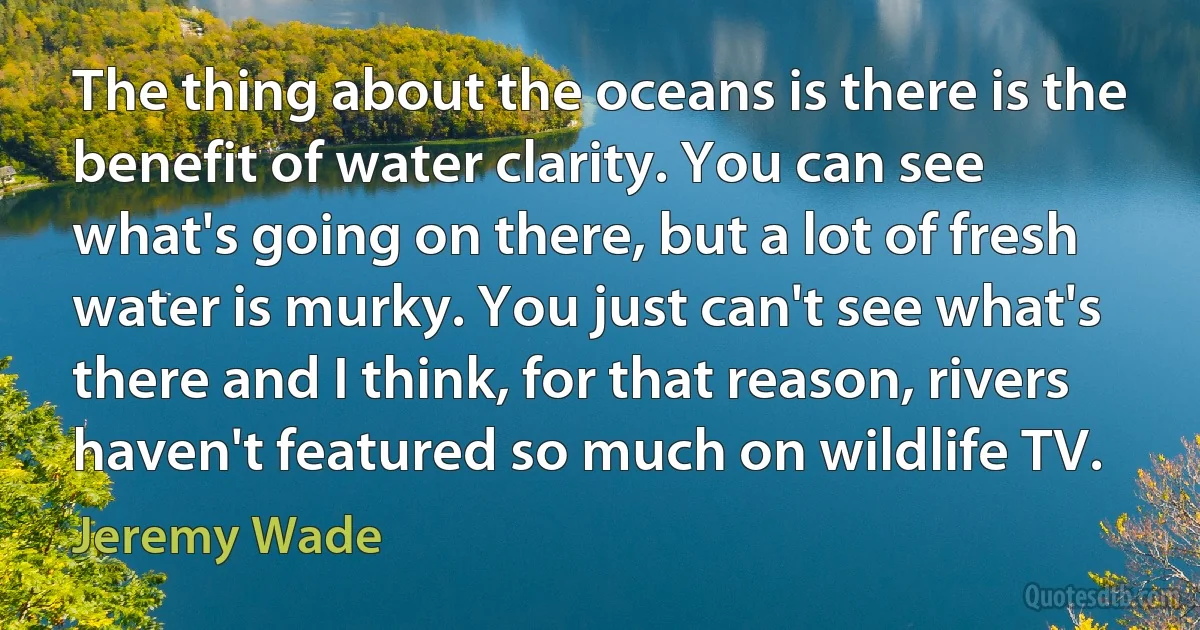 The thing about the oceans is there is the benefit of water clarity. You can see what's going on there, but a lot of fresh water is murky. You just can't see what's there and I think, for that reason, rivers haven't featured so much on wildlife TV. (Jeremy Wade)