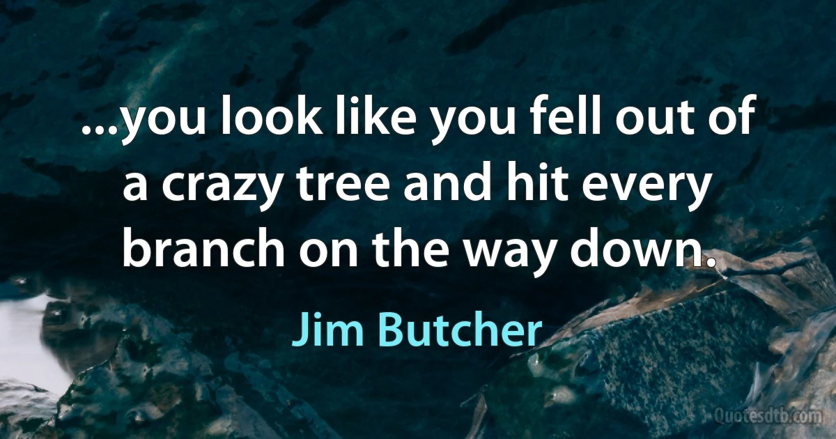 ...you look like you fell out of a crazy tree and hit every branch on the way down. (Jim Butcher)