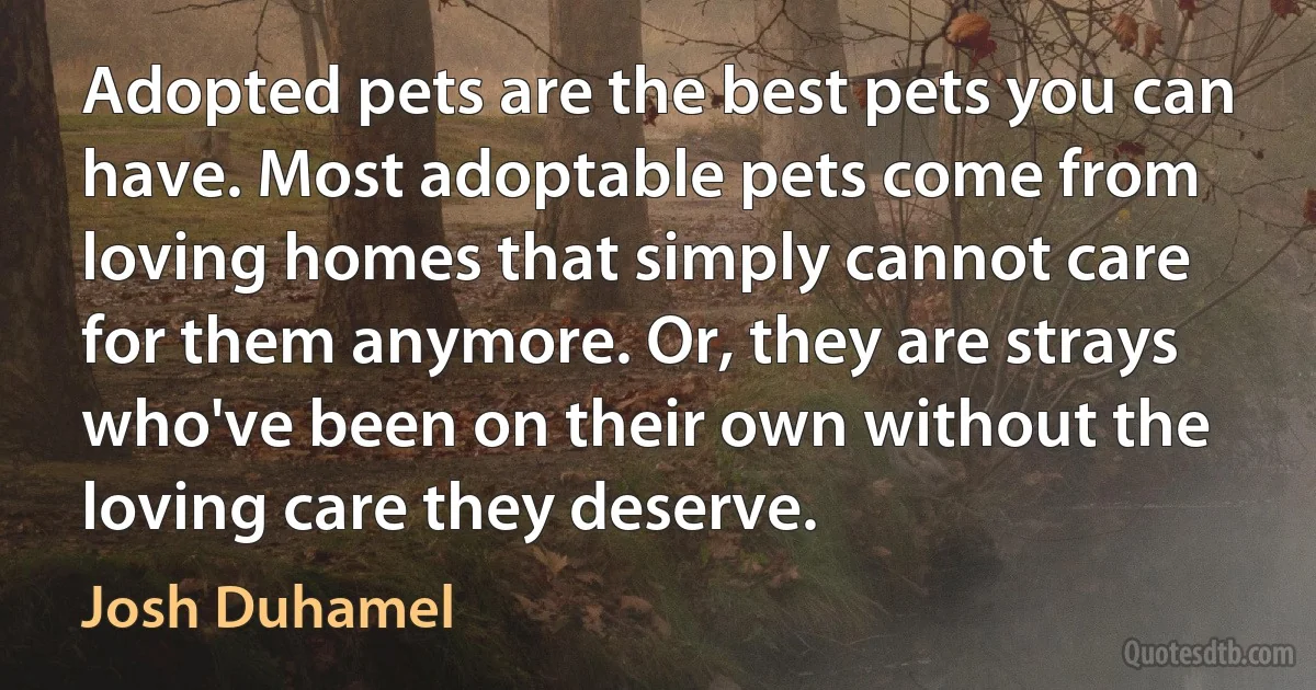 Adopted pets are the best pets you can have. Most adoptable pets come from loving homes that simply cannot care for them anymore. Or, they are strays who've been on their own without the loving care they deserve. (Josh Duhamel)