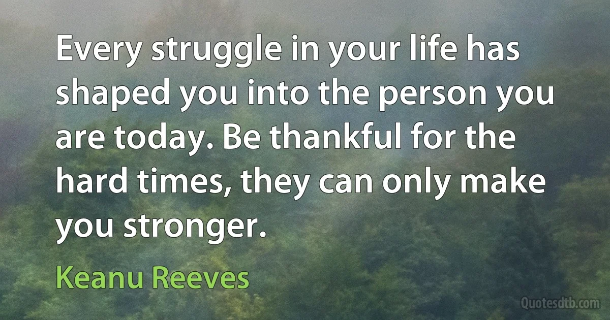 Every struggle in your life has shaped you into the person you are today. Be thankful for the hard times, they can only make you stronger. (Keanu Reeves)