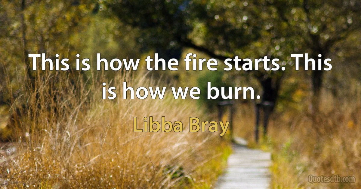 This is how the fire starts. This is how we burn. (Libba Bray)