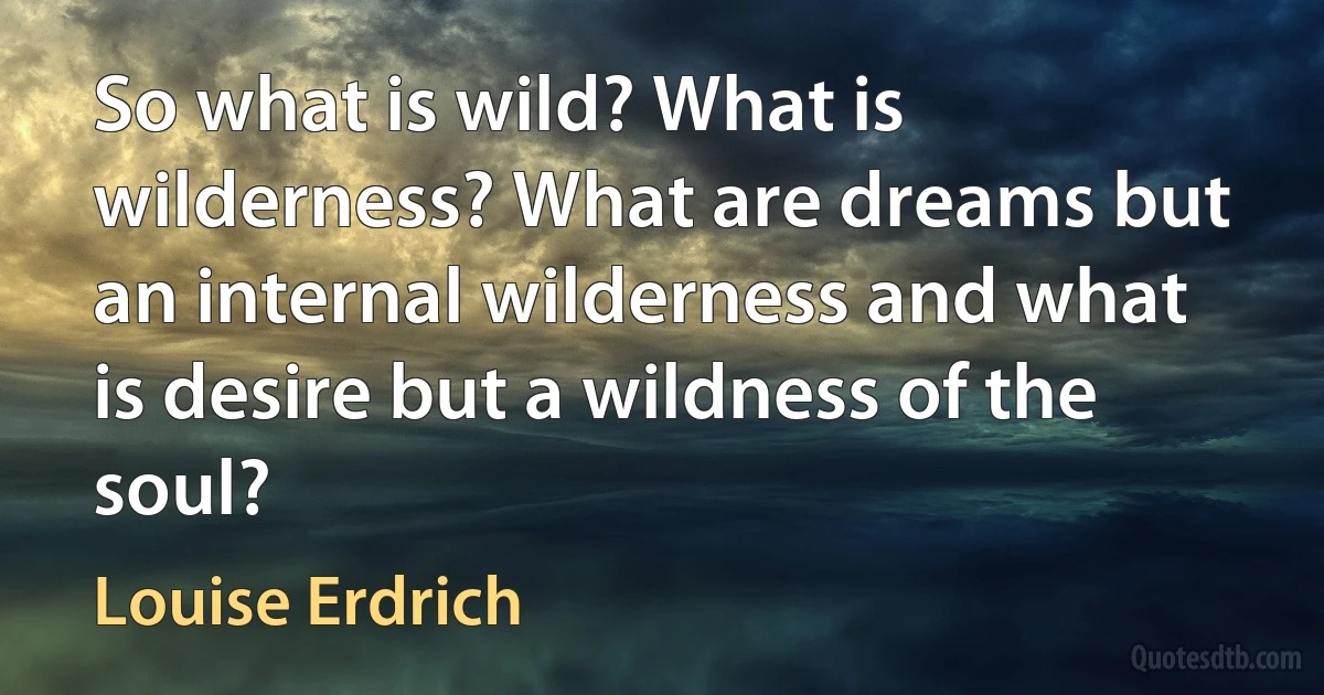 So what is wild? What is wilderness? What are dreams but an internal wilderness and what is desire but a wildness of the soul? (Louise Erdrich)