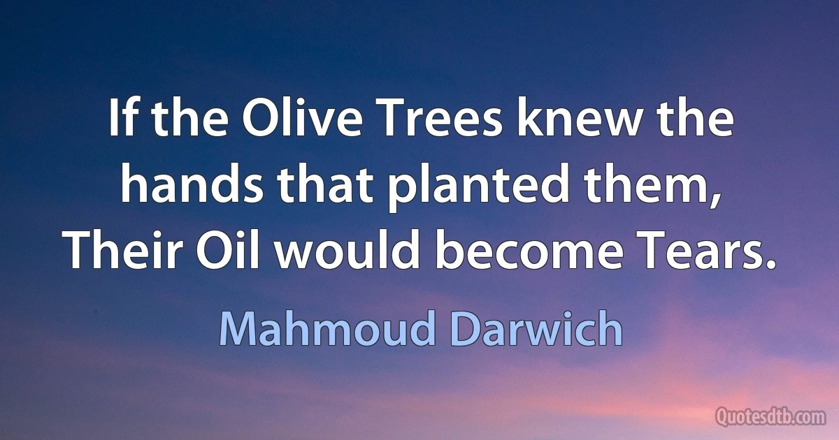 If the Olive Trees knew the hands that planted them, Their Oil would become Tears. (Mahmoud Darwich)