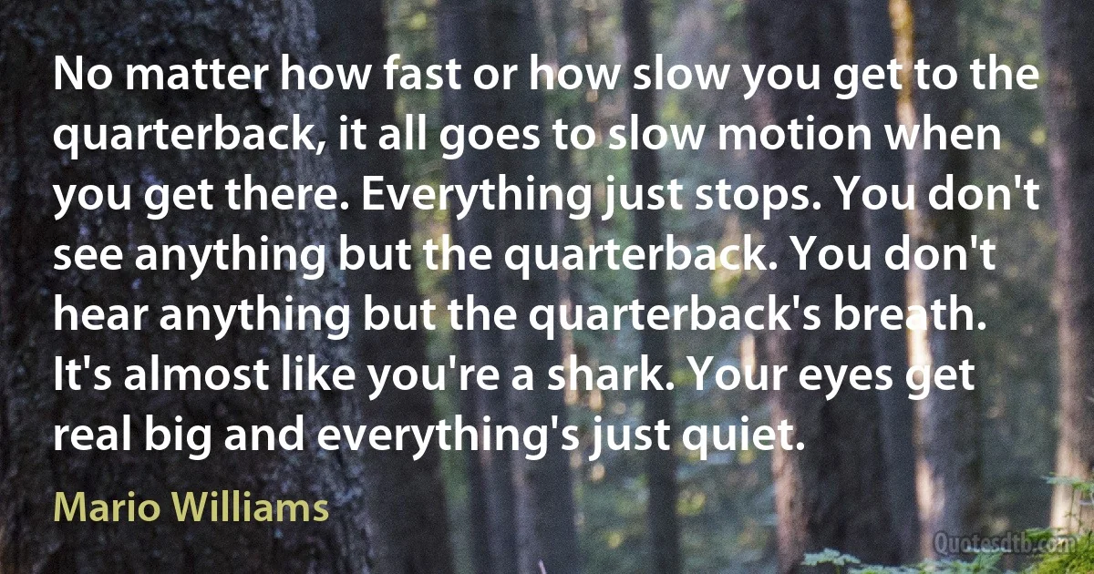 No matter how fast or how slow you get to the quarterback, it all goes to slow motion when you get there. Everything just stops. You don't see anything but the quarterback. You don't hear anything but the quarterback's breath. It's almost like you're a shark. Your eyes get real big and everything's just quiet. (Mario Williams)