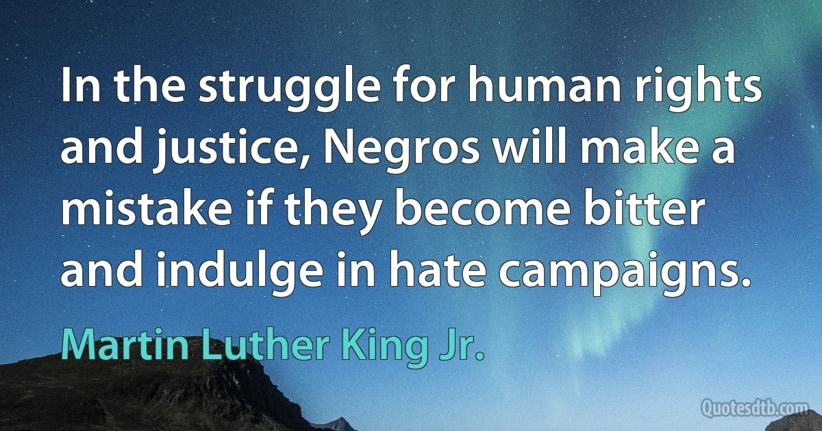 In the struggle for human rights and justice, Negros will make a mistake if they become bitter and indulge in hate campaigns. (Martin Luther King Jr.)