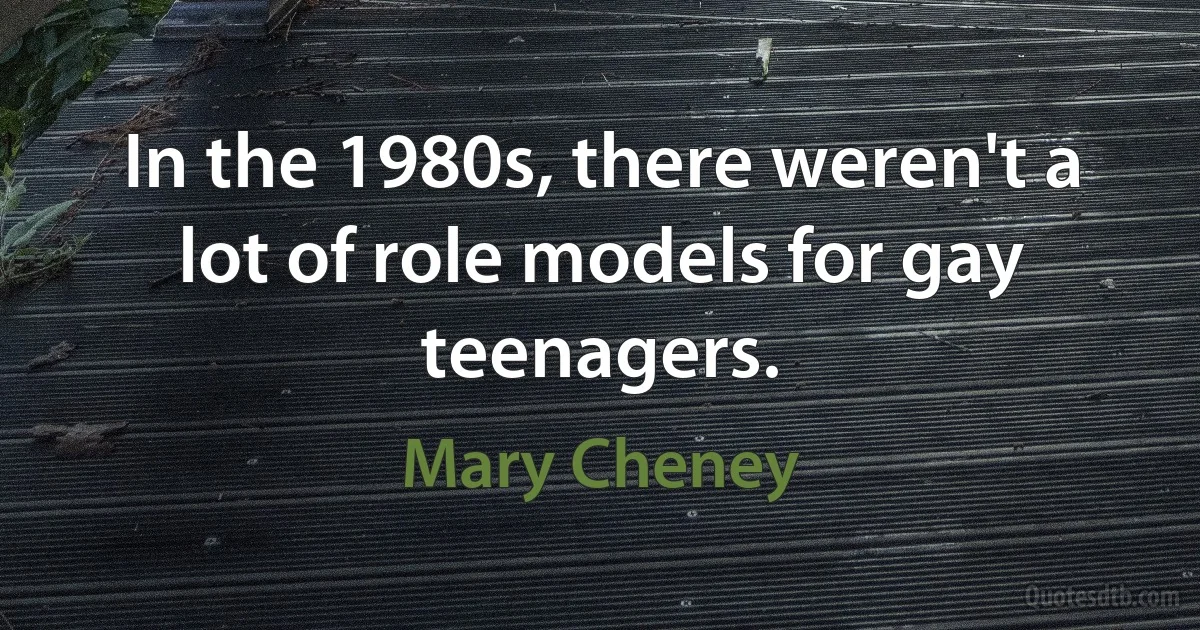 In the 1980s, there weren't a lot of role models for gay teenagers. (Mary Cheney)