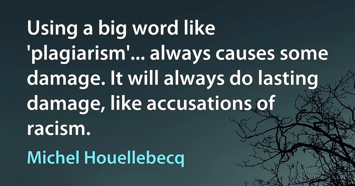 Using a big word like 'plagiarism'... always causes some damage. It will always do lasting damage, like accusations of racism. (Michel Houellebecq)