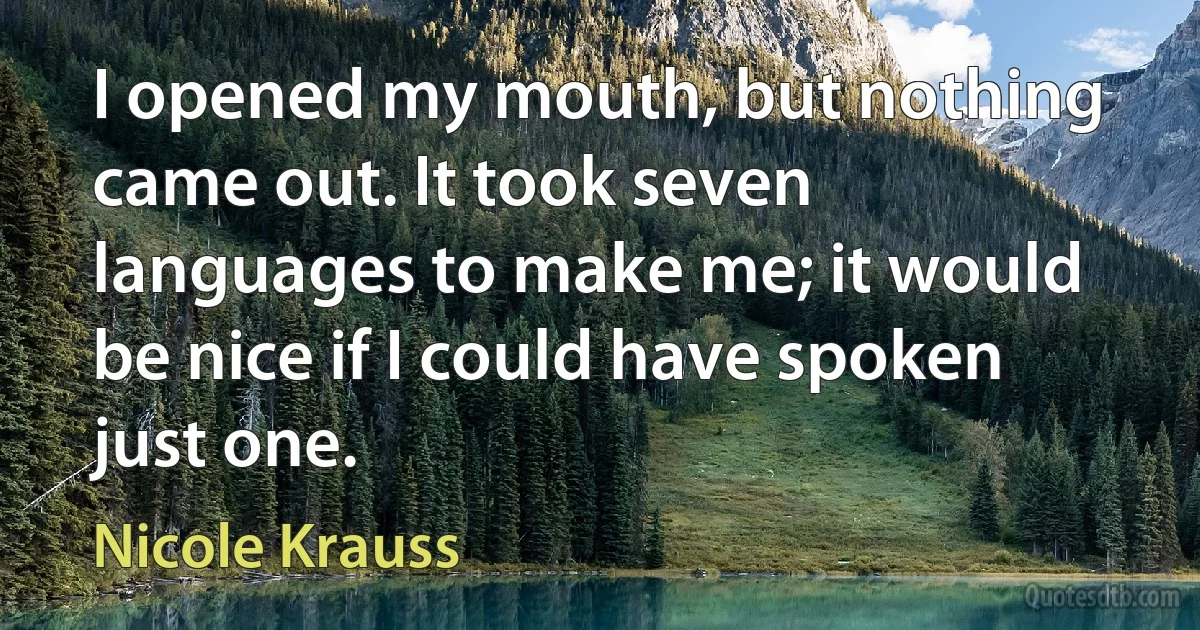 I opened my mouth, but nothing came out. It took seven languages to make me; it would be nice if I could have spoken just one. (Nicole Krauss)