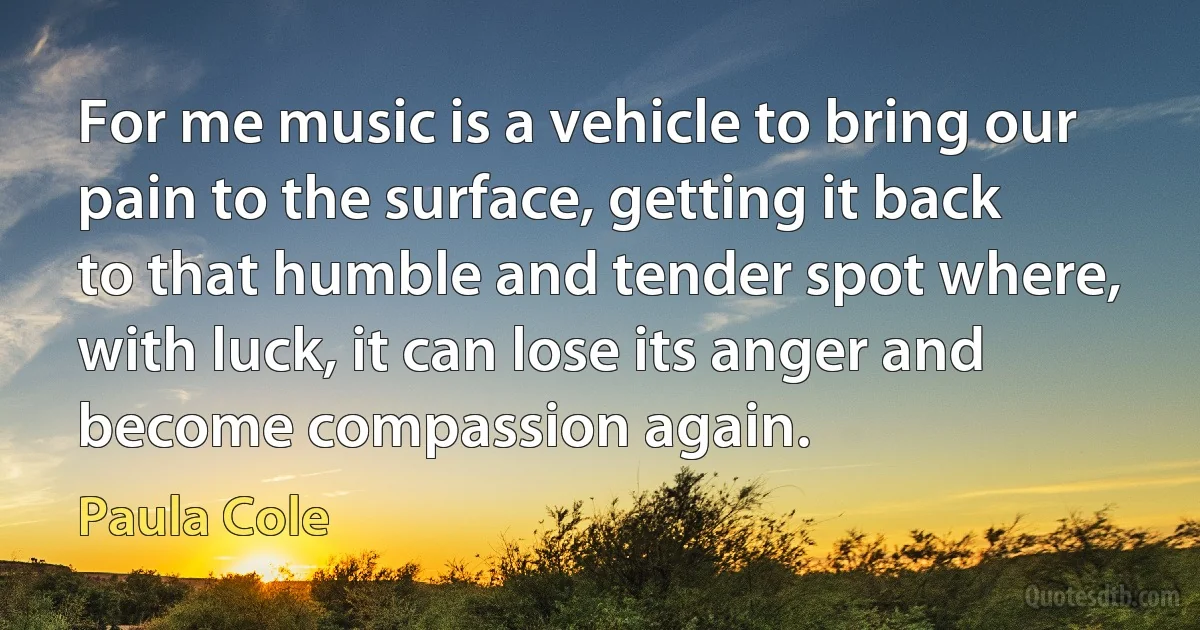 For me music is a vehicle to bring our pain to the surface, getting it back to that humble and tender spot where, with luck, it can lose its anger and become compassion again. (Paula Cole)