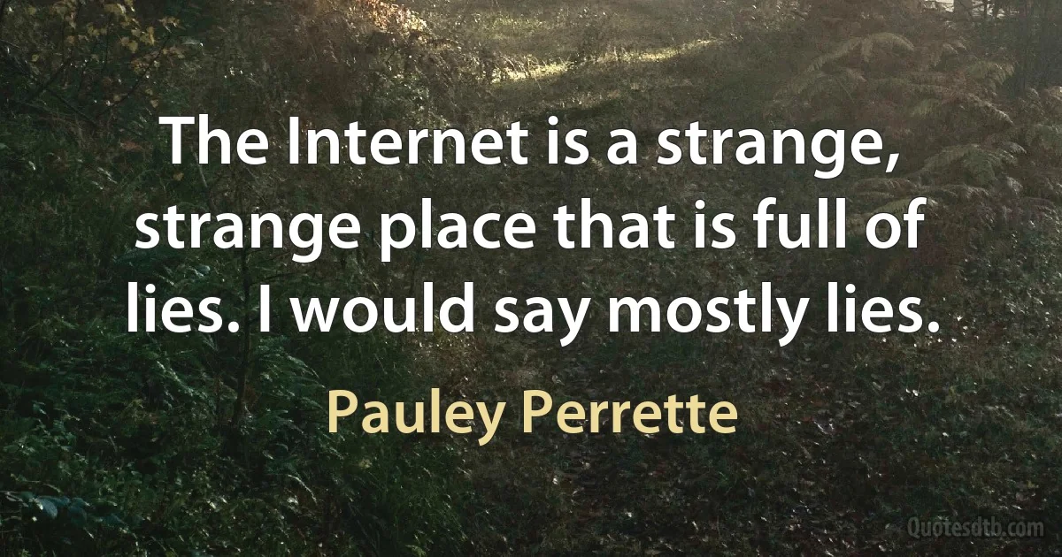 The Internet is a strange, strange place that is full of lies. I would say mostly lies. (Pauley Perrette)