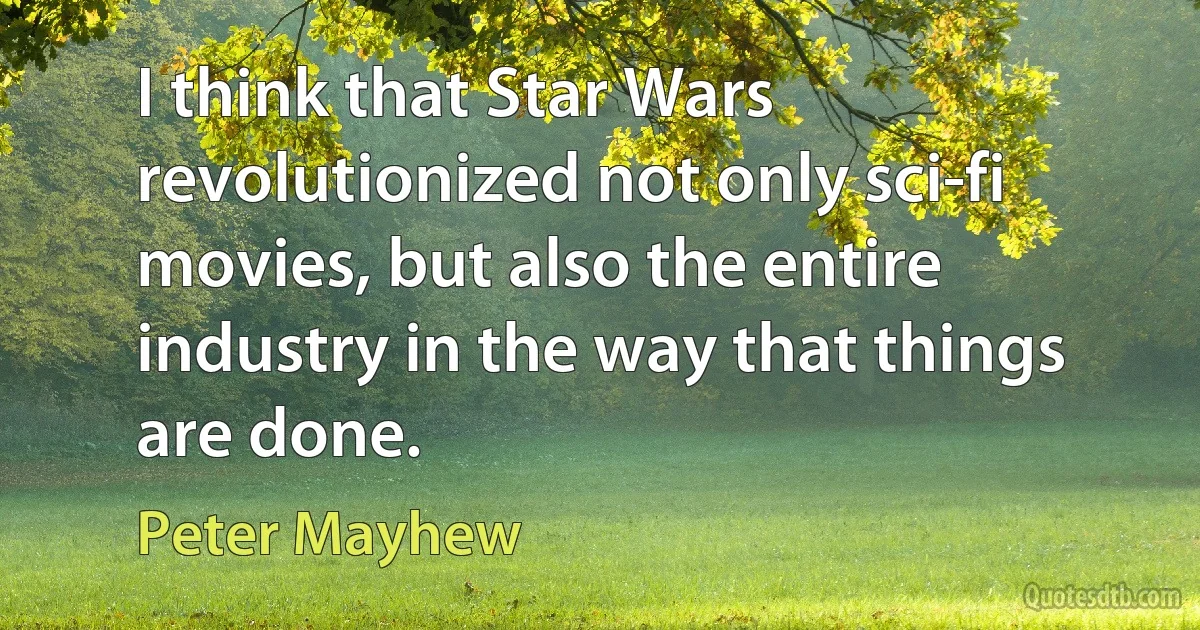 I think that Star Wars revolutionized not only sci-fi movies, but also the entire industry in the way that things are done. (Peter Mayhew)