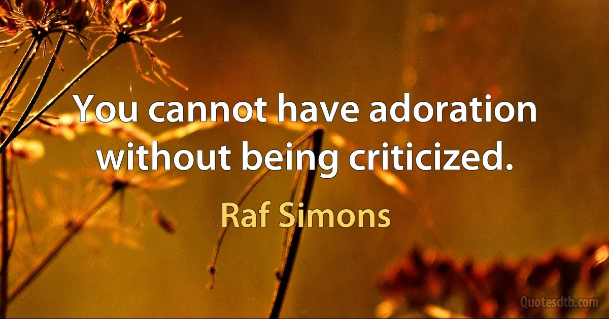 You cannot have adoration without being criticized. (Raf Simons)