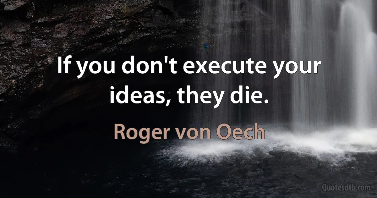 If you don't execute your ideas, they die. (Roger von Oech)