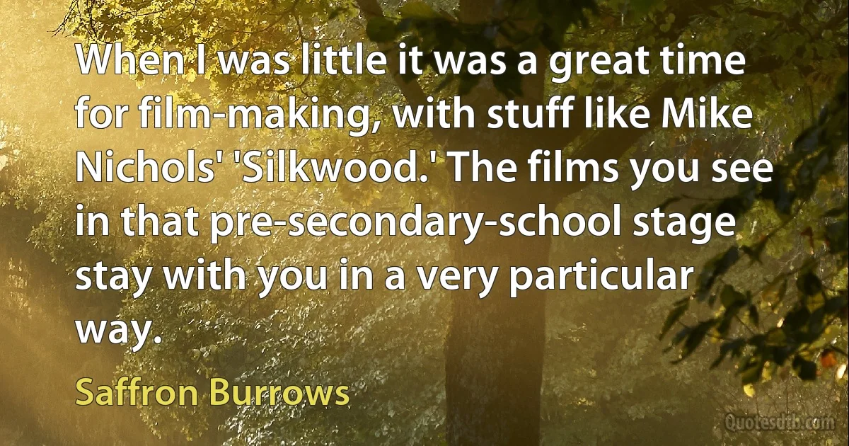 When I was little it was a great time for film-making, with stuff like Mike Nichols' 'Silkwood.' The films you see in that pre-secondary-school stage stay with you in a very particular way. (Saffron Burrows)