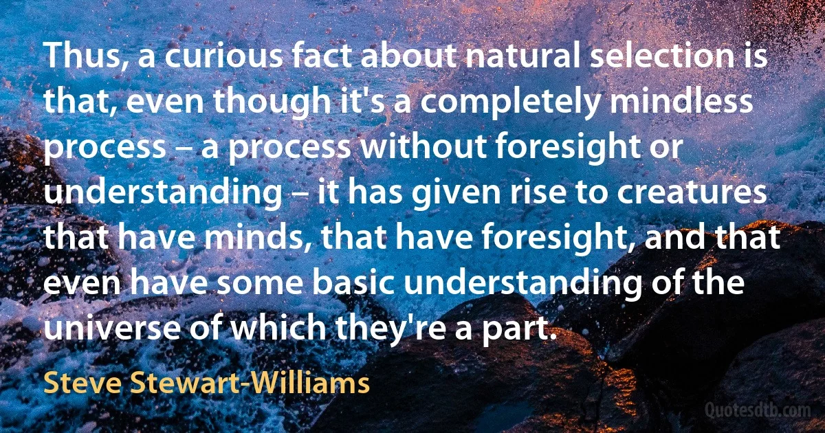 Thus, a curious fact about natural selection is that, even though it's a completely mindless process – a process without foresight or understanding – it has given rise to creatures that have minds, that have foresight, and that even have some basic understanding of the universe of which they're a part. (Steve Stewart-Williams)