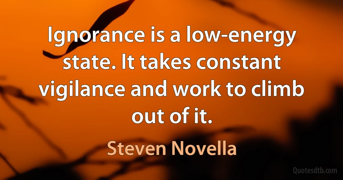 Ignorance is a low-energy state. It takes constant vigilance and work to climb out of it. (Steven Novella)