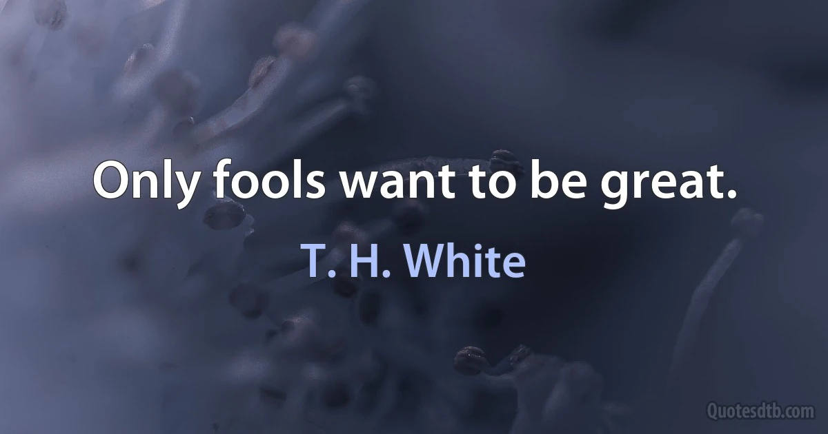 Only fools want to be great. (T. H. White)