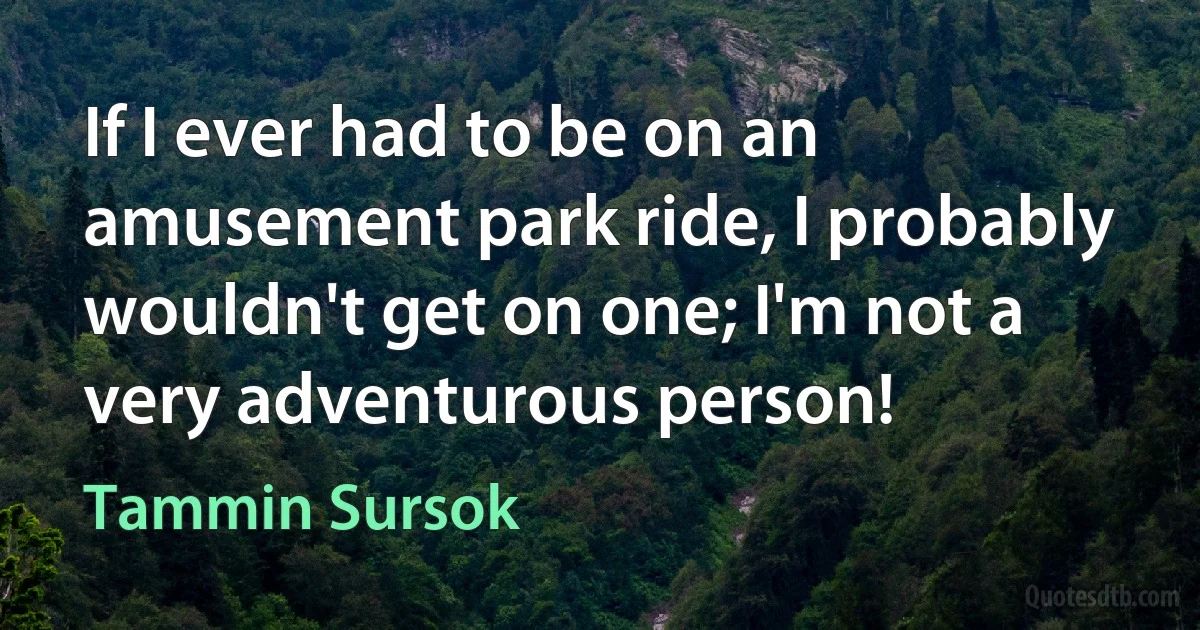 If I ever had to be on an amusement park ride, I probably wouldn't get on one; I'm not a very adventurous person! (Tammin Sursok)